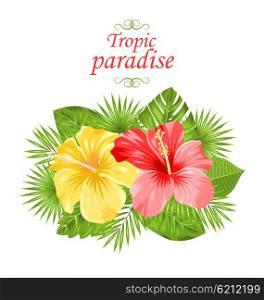 Illustration Beautiful Colorful Hibiscus Flowers Blossom and Tropical Leaves, Isolated on White Background - Vector