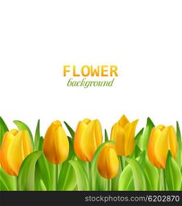Illustration Beautiful Yellow Flowers Tulips Isolated on White Background, Nature Wallpaper - Vector