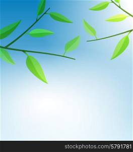 Illustration Branch Tree with Green Leaves and Blue Sky - Vector. Branch Tree with Green Leaves