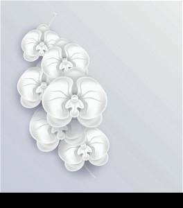Illustration brunch of beautiful orchids ,paper craft, template with copy space for your message or text - vector