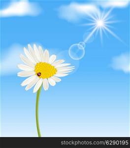 Illustration chamomile flower and blue sky with clouds - vector
