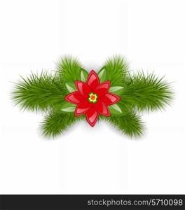 Illustration Christmas composition with fir twigs and flower poinsettia, isolated on white background - vector