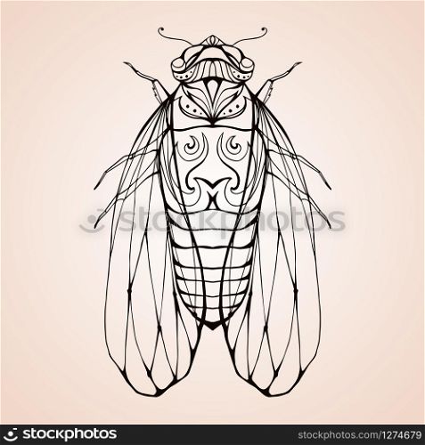Illustration cicada with boho pattern. Vector element for coloring prints, for T-shirts, tattoos and a sketch for your creativity. Illustration cicada with boho pattern. Vector element for color