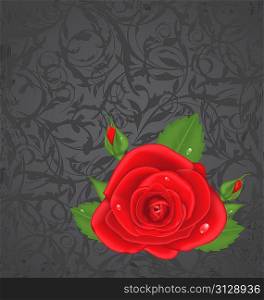 Illustration close-up red rose isolated on grunge floral background - vector