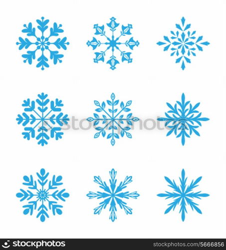 Illustration collection of variation snowflakes isolated on white background - vector