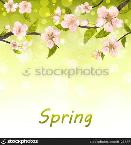 Illustration Cute Branches of Cherry Blossom Tree, Natural Background - Vector