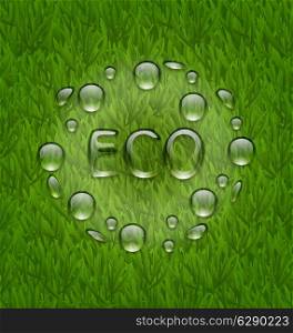 Illustration eco friendly background with water drops on fresh green grass texture - vector