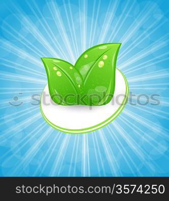 Illustration eco friendly card with green leaves and blue rays - vector