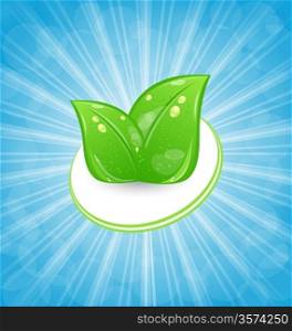Illustration eco friendly card with green leaves and blue rays - vector