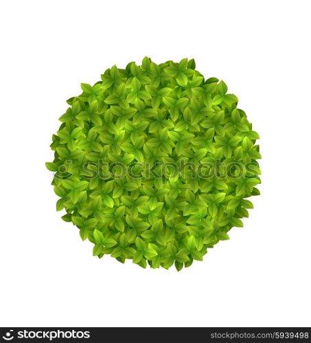 Illustration Eco Friendly Circle Frame Made in Green Leaves, Isolated on White Background - Vector