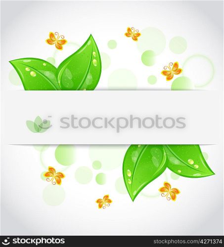 Illustration eco green leaves with with butterfly isolated on white background - vector