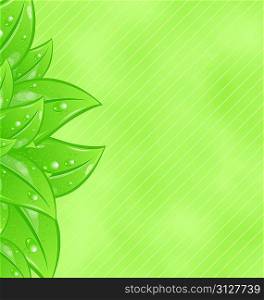 Illustration ecology background with eco green leaves - vector