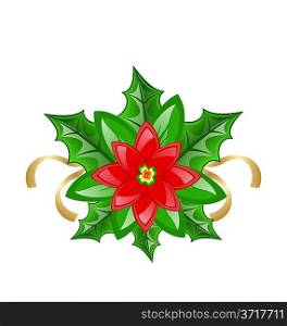 Illustration flower poinsettia for christmas decoration - vector