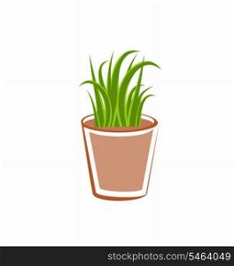 Illustration flowerpot with green grass plants isolated on white background - vector