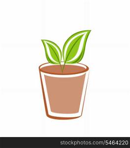 Illustration flowerpot with green leafs plants isolated on white background - vector