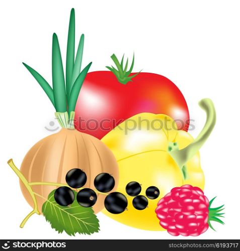 Illustration fruit and berries on white background