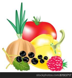 Illustration fruit and berries on white background