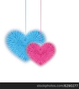 Illustration fur pink and blue hearts for Valentines Day isolated on white background - vector