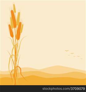 Illustration Golden Wheat Ears on Autumn Background