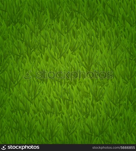 Illustration green grass field, nature background - vector