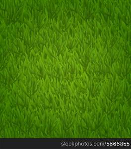 Illustration green grass field, nature background - vector