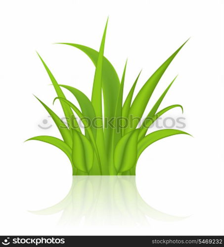 Illustration green grass isolated on white background - vector