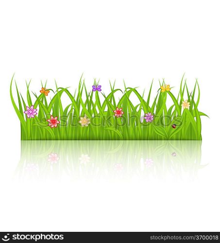 Illustration green grass with flower isolated on white background - vector