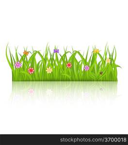 Illustration green grass with flower isolated on white background - vector