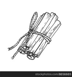 illustration hand drawn sketch cinnamon sticks and anise ink style monochrome outline. Cinnamon stick vector drawing. Hand drawn sketch. Seasonal food illustration isolated on white.