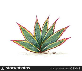 Illustration Hand Drawn Sketch of Agave Blue Glow Plant. A Succulent Plants with Sharp Thorns for Garden Decoration. 