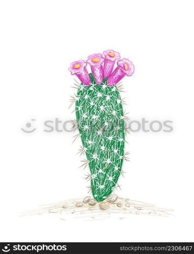 Illustration Hand Drawn Sketch of Arrojadoa Cactus with Pink Flower for Garden Decoration.