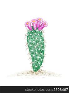 Illustration Hand Drawn Sketch of Arrojadoa Cactus with Pink Flower for Garden Decoration.