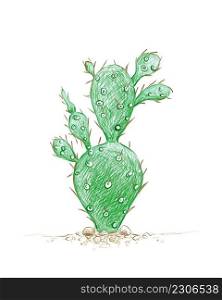 Illustration Hand Drawn Sketch of Brasiliopuntia or Brazilian Prickley Pear Cactus for Garden Decoration.
