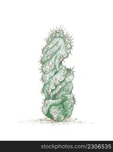 Illustration Hand Drawn Sketch of Cereus Forbesii Spiralis Cactus for Garden Decoration.