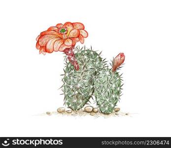 Illustration Hand Drawn Sketch of Echinocereus Engelm or Hedgehog Cactus with Red Flower. A Succulent Plants with Sharp Thorns for Garden Decoration.