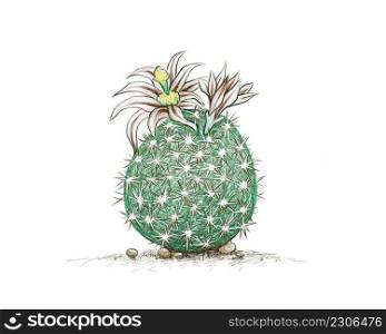 Illustration Hand Drawn Sketch of Echinomastus Cactus with Yellow Flower. A Succulent Plants with Sharp Thorns for Garden Decoration.
