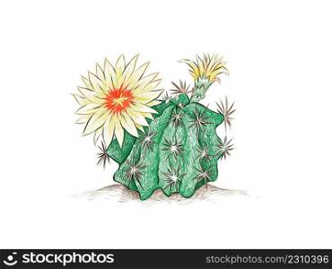 Illustration Hand Drawn Sketch of Hamatocactus, Hedgehog, Twisted Rib or Fishhook Cactus with Yellow Flower. 