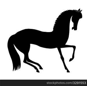 illustration horse on white background