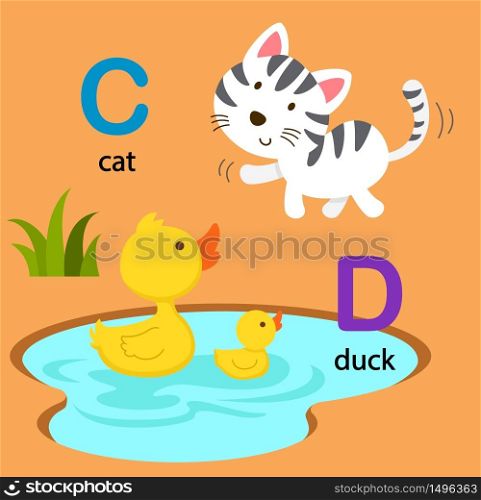 Illustration Isolated Alphabet Letter C-cat,D-duck vector