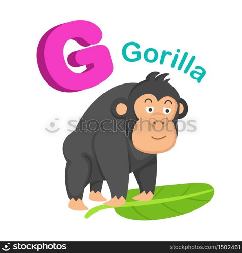 Illustration Isolated Alphabet Letter G Gorilla.vector