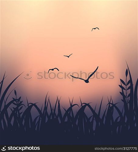 Illustration landscape with grass and flying seagulls - vector
