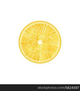 Illustration Lemon Slice Isolated on White Background - Vector