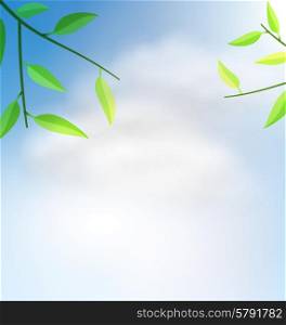 Illustration Natural Background with Branch Tree and Cloudy Sky - Vector. Natural Background with Branch Tree