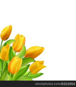 Illustration Natural Bouquet with Yellow Tulips Flowers Isolated on White Background, Copy Space for Your Text - Vector
