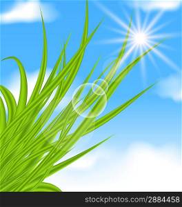 Illustration natural illuminated background with green grass - vector