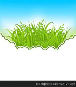 Illustration nature card with green grass - vector