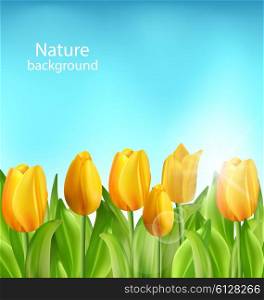 Illustration Nature Floral Background with Tulips Flowers and Blue Sky, Springtime, Environment, Beautiful Landscape - Vector