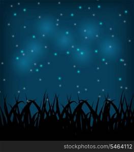 Illustration night sky with grass field - vector