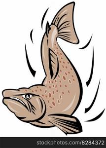 Illustration of a angry salmon fish jumping done in retro style.