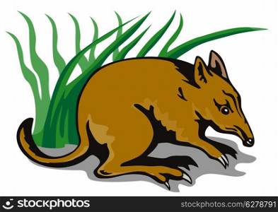 Illustration of a bandicoot in front of a bush done in retro style.